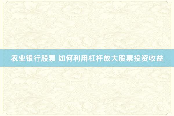 农业银行股票 如何利用杠杆放大股票投资收益