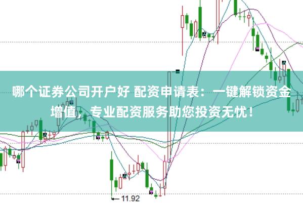哪个证券公司开户好 配资申请表：一键解锁资金增值，专业配资服务助您投资无忧！