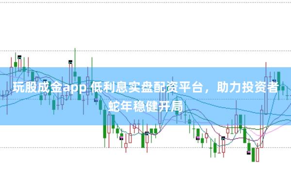 玩股成金app 低利息实盘配资平台，助力投资者蛇年稳健开局