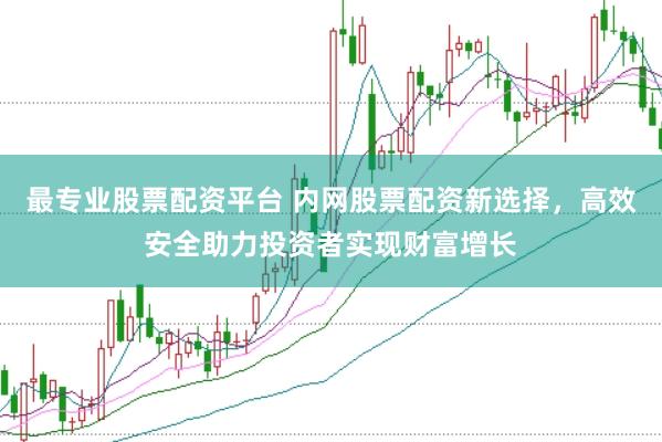 最专业股票配资平台 内网股票配资新选择，高效安全助力投资者实现财富增长