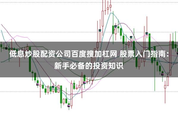 低息炒股配资公司百度搜加杠网 股票入门指南：新手必备的投资知识