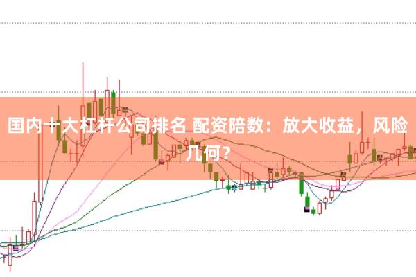 国内十大杠杆公司排名 配资陪数：放大收益，风险几何？