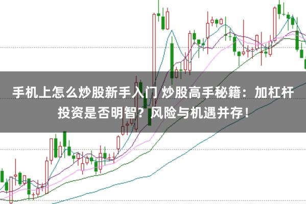 手机上怎么炒股新手入门 炒股高手秘籍：加杠杆投资是否明智？风险与机遇并存！