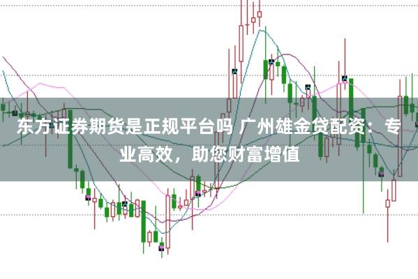 东方证券期货是正规平台吗 广州雄金贷配资：专业高效，助您财富增值