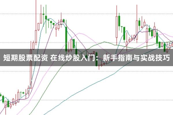 短期股票配资 在线炒股入门：新手指南与实战技巧