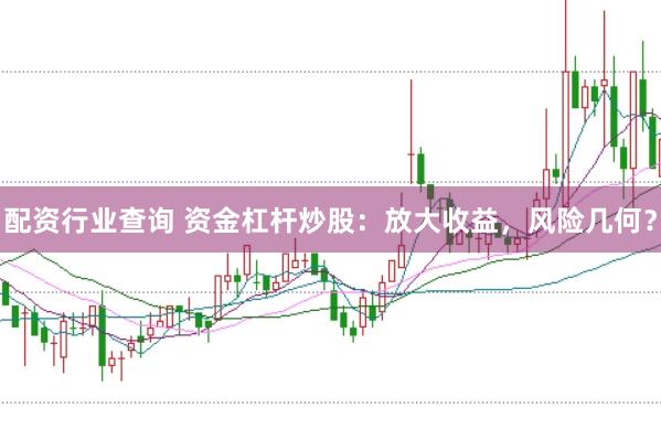 配资行业查询 资金杠杆炒股：放大收益，风险几何？