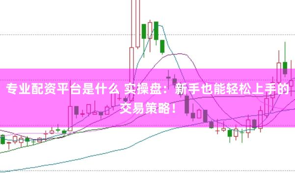 专业配资平台是什么 实操盘：新手也能轻松上手的交易策略！