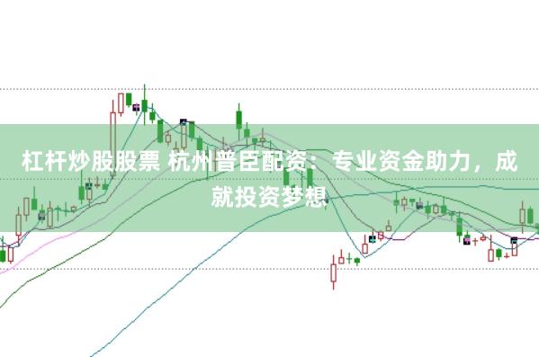杠杆炒股股票 杭州普臣配资：专业资金助力，成就投资梦想