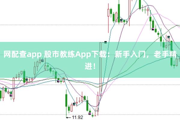 网配查app 股市教练App下载：新手入门，老手精进！