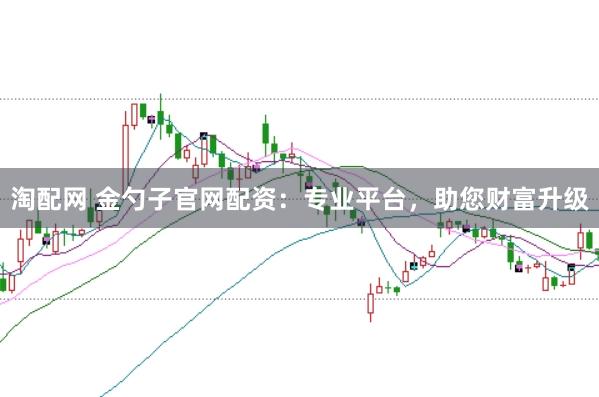 淘配网 金勺子官网配资：专业平台，助您财富升级
