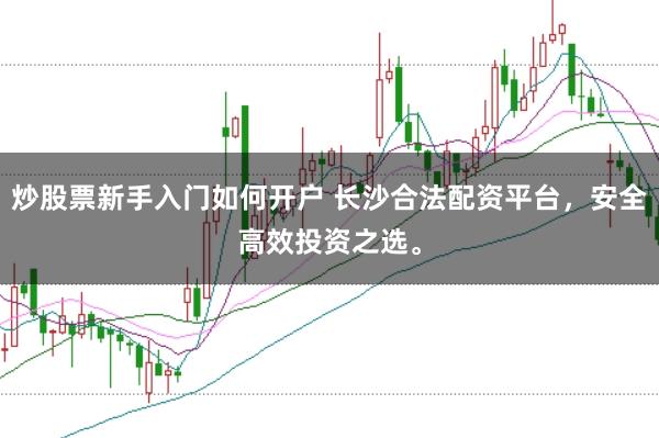 炒股票新手入门如何开户 长沙合法配资平台，安全高效投资之选。