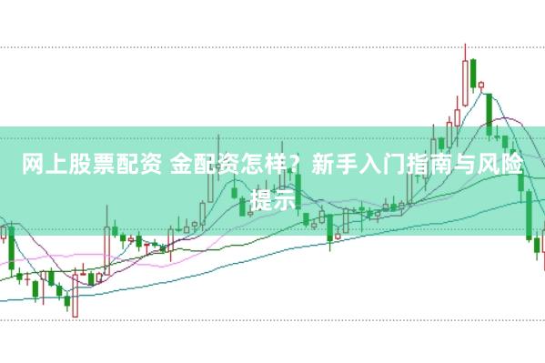 网上股票配资 金配资怎样？新手入门指南与风险提示