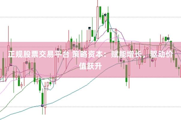 正规股票交易平台 策略资本：赋能增长，驱动价值跃升